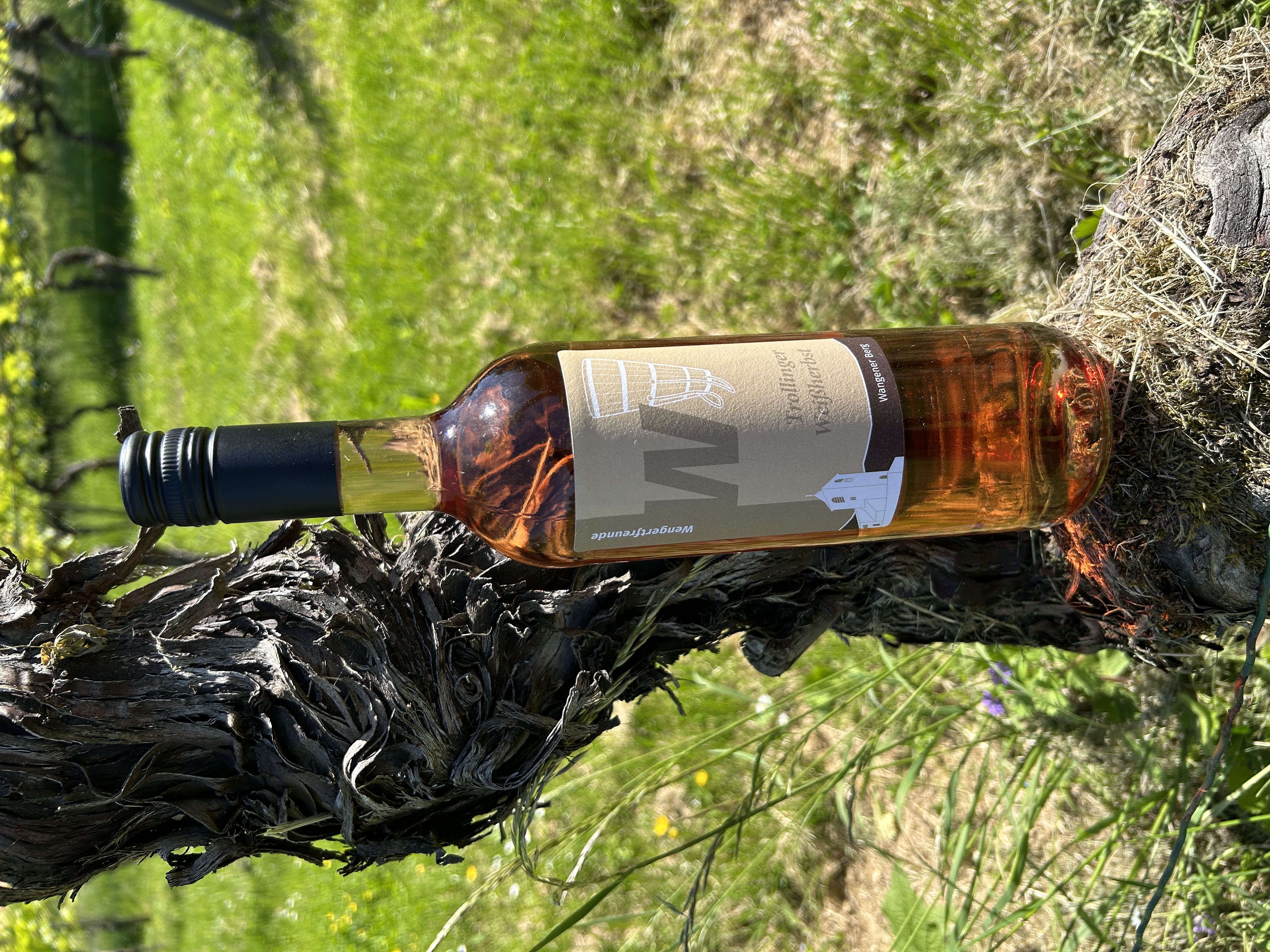 Trollinger Weißherbst