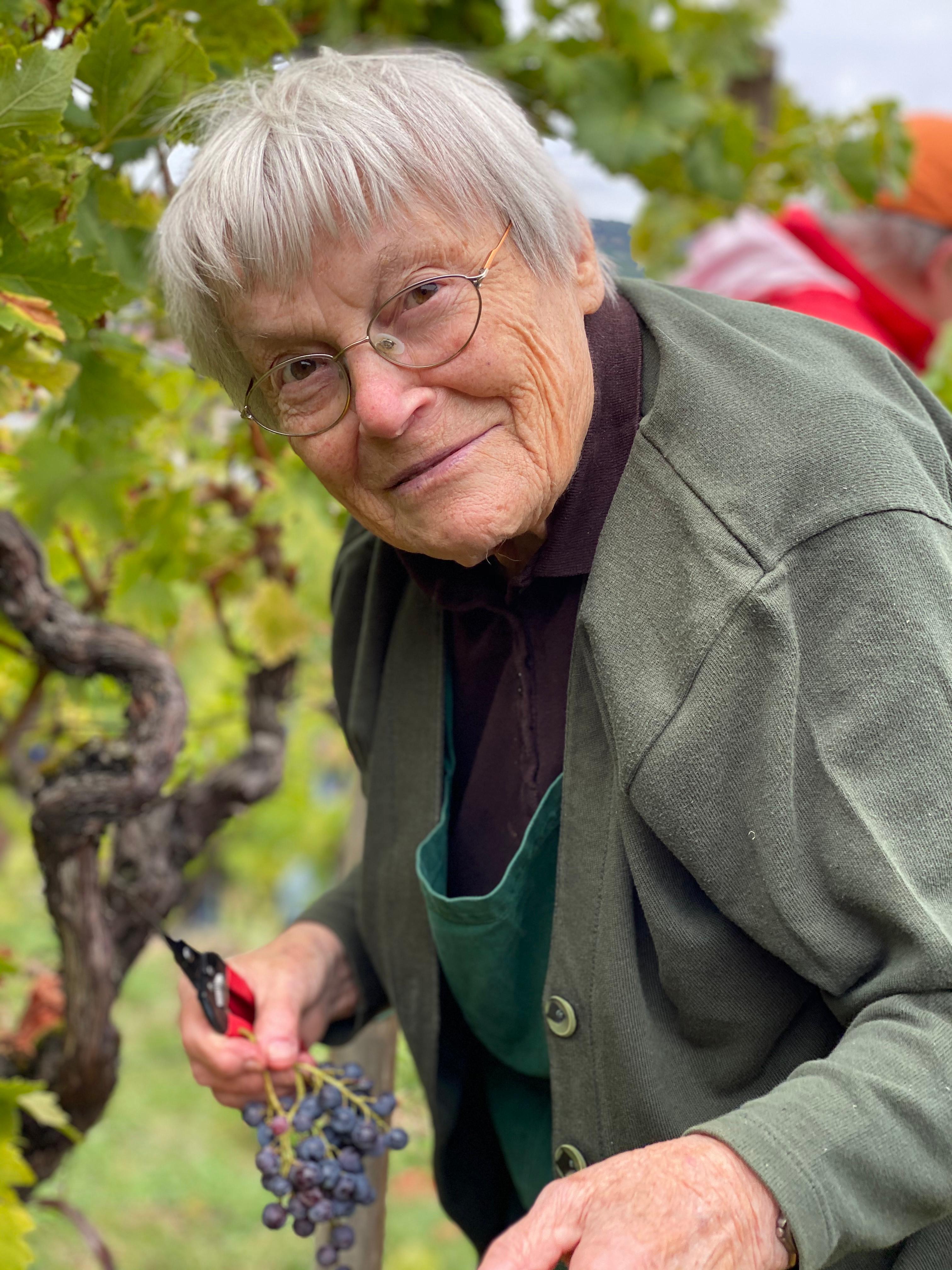 Großeltern bei der Arbeit im Weinberg
